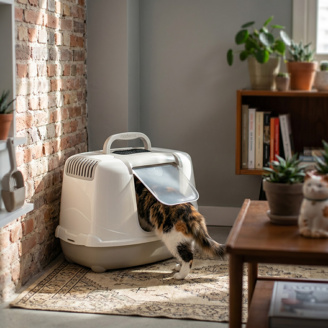 Moderna Jumbo Ecke Katzentoilette mit Klapptür & Filter | Beige