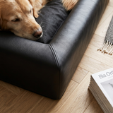Bia Bed Hundebett Orthopädisch Druckentlastend für Gelenke | Schwarz 60x50x12,5cm