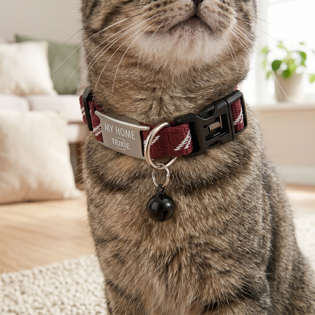 Trixie My Home Katzenhalsband mit Adressfähnchen Glöckchen & Klickverschluss | Sortiert