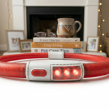 Trixie Flash Leuchthalsband USB-aufladbar Reflektierend Hund | Grün 65x0,7cm