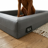 Bia Bed Hundebett Original Polyether Orthopädisch mit Erhöhtem Rand | Grau 60x50x12,5cm