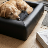 Bia Bed Hundebett Orthopädisch Druckentlastend für Gelenke | Schwarz 60x50x12,5cm