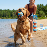 Chuckit Amphibious Spielbälle Hund Schwimmend & Zahnfreundlich | 6,5cm