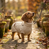 Croci Homy Celtic Hundepullover Warm & Stilvoll mit Leinenführung | Creme 25cm