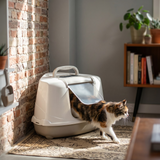 Moderna Jumbo Ecke Katzentoilette mit Klapptür & Filter | Beige
