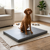 Bia Bed Orthopedisch Hondenmatras Grijs | Ligbed 73x50 cm | Kunstleren Hoes
