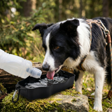Petgear Travel Trinkflasche Wassernapf für Hunde Unterwegs | 500ml