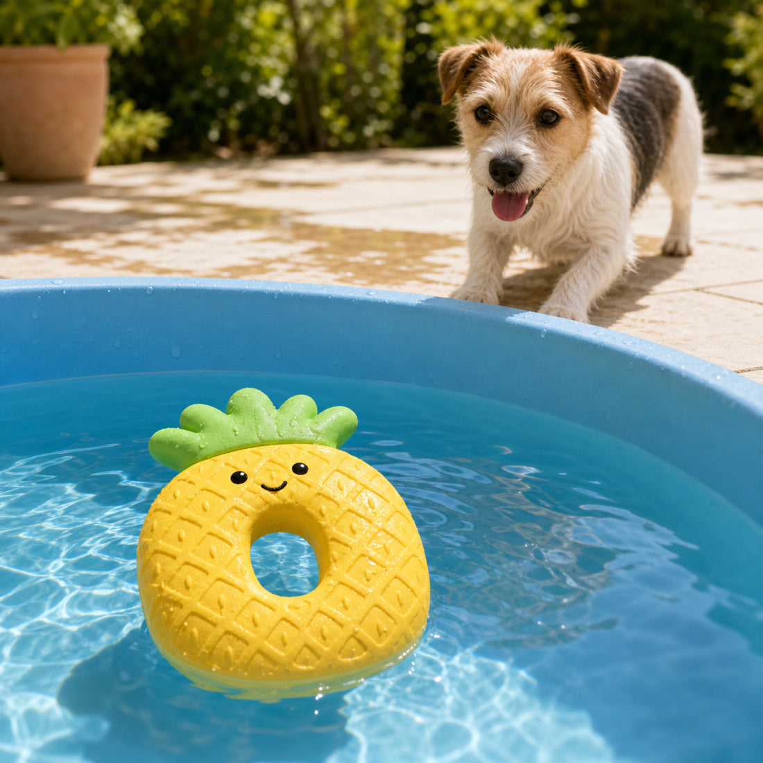 Croci Ananas Drijvend hondenspeeltje in water